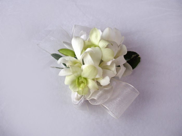 KFW 204 White Pure corsage