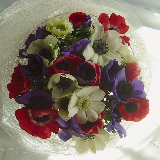 KFW 102 Tropical bouquet