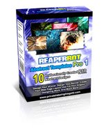 REAPERBOT Graffiti Templates Pro 1