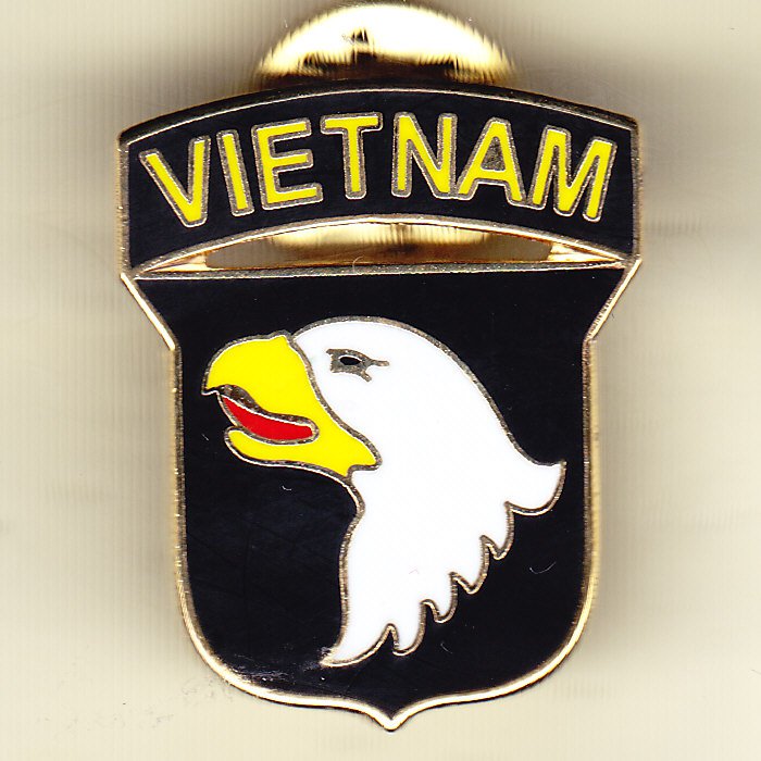 101st Airborne Division Vietnam Hat Pin