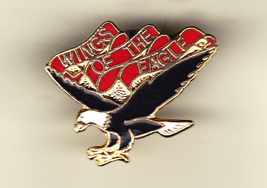 101st Aviation Battlion Hat Pin