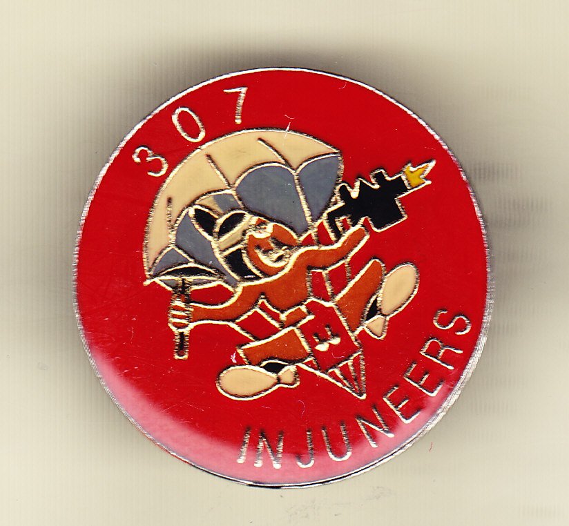 307th Airborne Engineers Hat Pin
