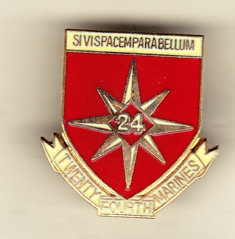 24th Marine Regiment Hat Pin
