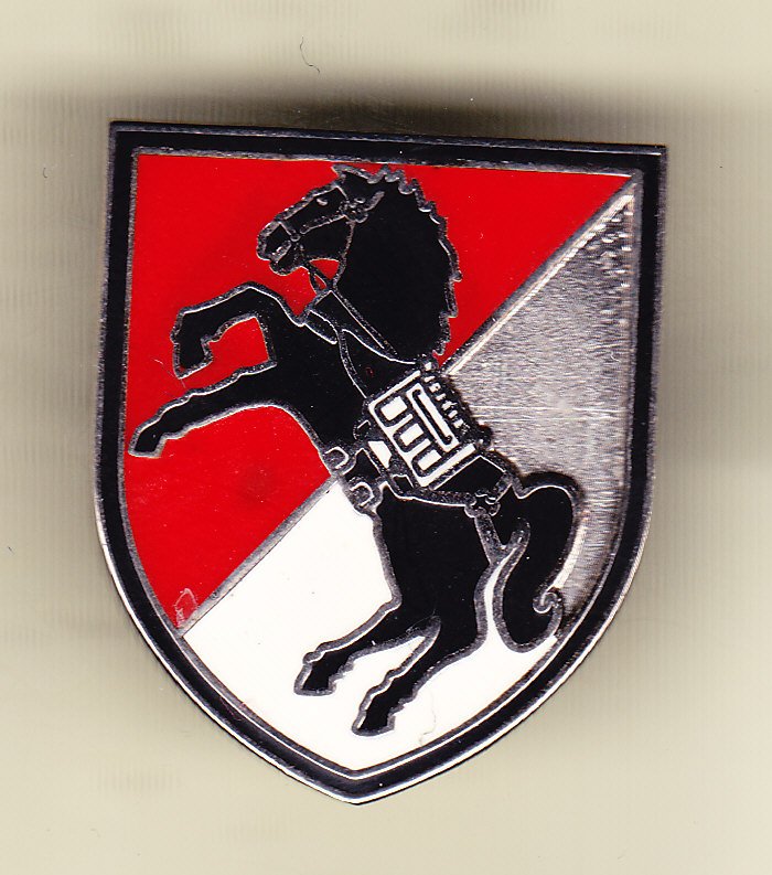 11th Armored Cavalry Regiment Support Hat Pin