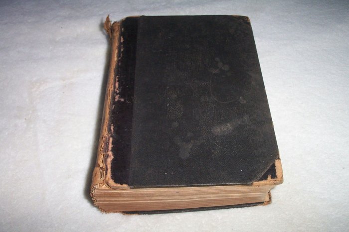 Circa1880 PictureGallery..A Very Nice Children's Book