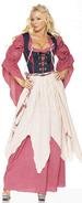 Pirate Wench/Barmaid Costume