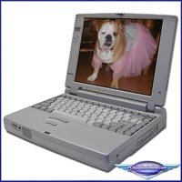 Toshiba Satellite