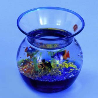 Vase Aquarium w/3 Fishes