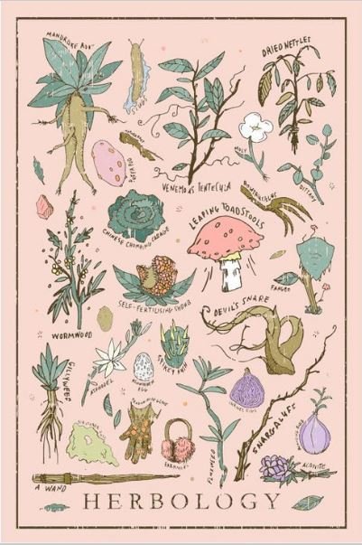 Harry Potter Herbology Vintage Poster