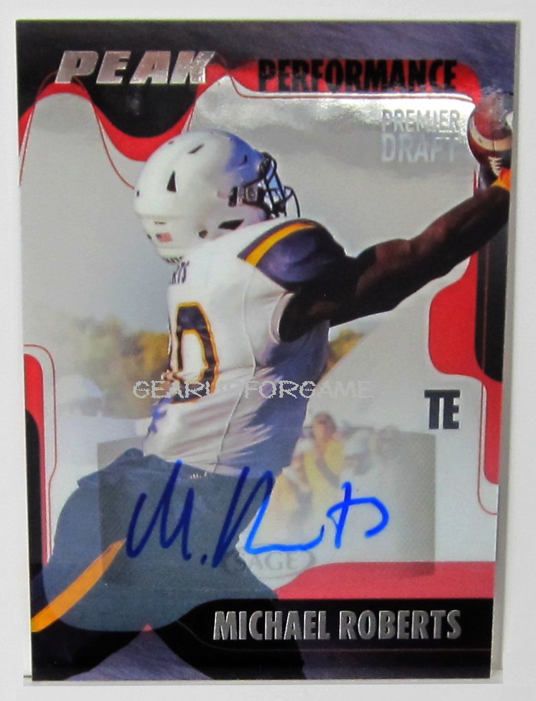 Michael Roberts 2017 Sage Hit Peak Performance Auto