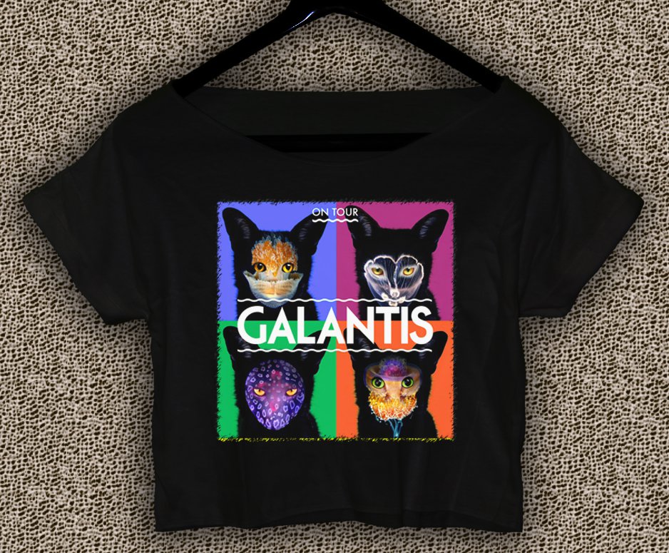 Galantis T-shirt Galantis Crop Top Galantis On Tour Crop Tee GLT#01