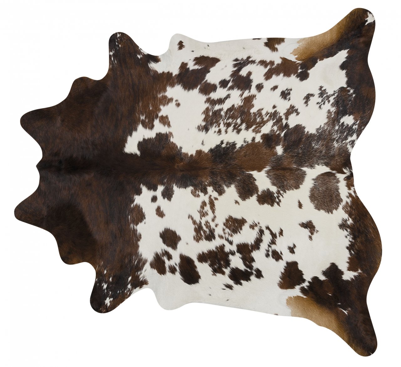 Tricolor Brazilian Cowhide - Size LARGE