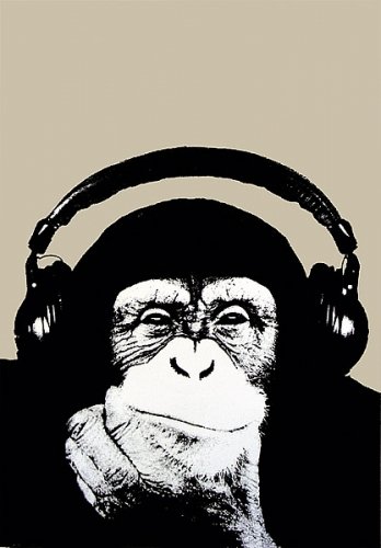Steez: Monkey Poster