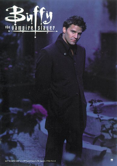Buffy The Vampire Slayer - David Boreanez Poster