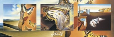 Salvador Dali Mini Door Poster
