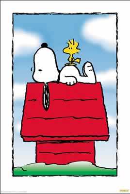 Peanuts