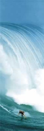 Wave Rider Door Poster