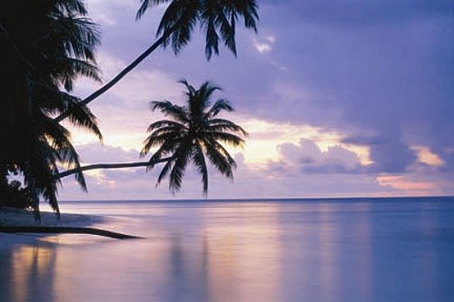 Tropical Sunset Giant Poster