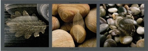 Feuilles Et Galets Mini Door Poster