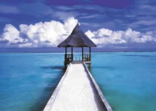 The Maldives Poster
