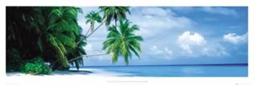 Fihahlohi Island Mini Door Poster