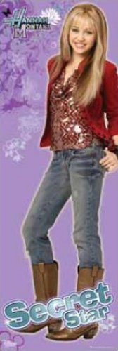 Hannah Montana Door Poster