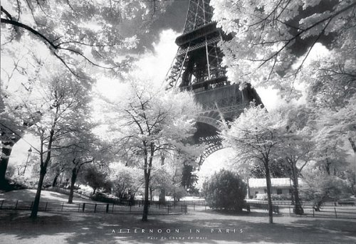 Afternoon In Paris Poster