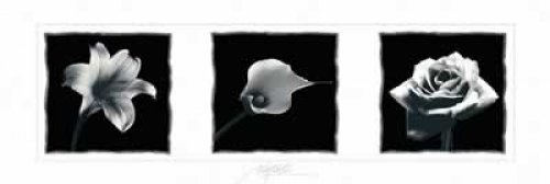 Three Flowers Mini Door Poster