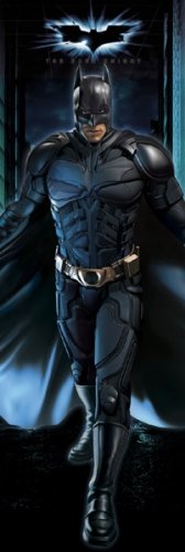 Batman - The Dark Knight Door Movie Poster