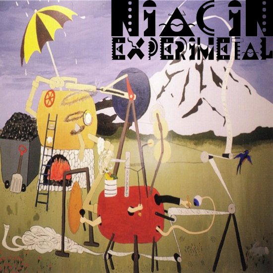 N.I.A.C.I.N.-Experimetal