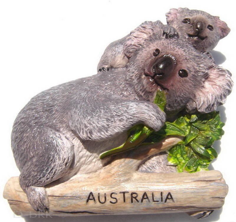 Souvenir Koala, AUSTRALIA , High Quality Resin 3D Fridge Magnet