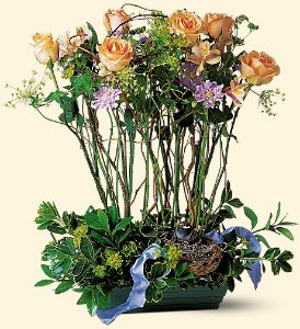 Garden Rose Dish