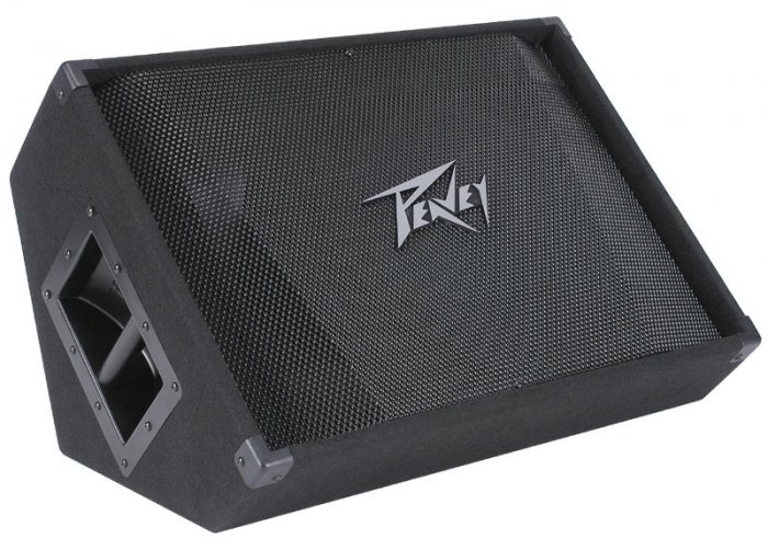 Peavey PV15M 500W Program Two Way Floor Monitor www.tmscad.ecrater.com