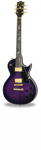 Jay Turser JT-SERPENT Vintage Less Paul Style 6 String Electric FREE SHIPPING www.tmscad.ecrater.com