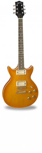 Jay Turser JT-200PRO 6 String Electric Guitar www.tmscad.ecrater.com
