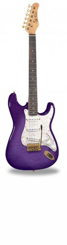 Jay Turser JT-300QMT Colors Available 6 String Electric Guitar www.tmscad.ecrater.com