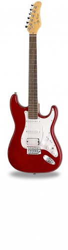 Jay Turser JT-301 Colors Available 6 String Electric Guitar www.tmscad.ecrater.com