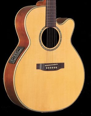 Takamine EG540SSC NEX Gloss Natural A/E Guitar Solid Top/Back FREE SHIPPING www.tmscad.ecrater.com