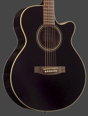 Takamine EG260C-BL Gloss Black FXC Artist C/A TP4T Pre Amp FREE SHIPPING www.tmscad.ecrater.com