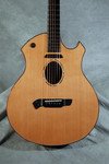 Parker P8E Natural A/E Guitar w/ Parker Hardshell Case FREE SHIPPING www.tmscad.ecrater.com