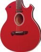 Parker P6E Wine Red A/E Guitar w/ Parker Hardshell Case FREE SHIPPING www.tmscad.ecrater.com