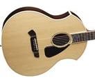 Parker PA28 Intrigue Natural Acoustic w/ Parker Hardshell Case FREE SHIPPING www.tmscad.ecrater.com