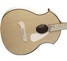 Parker PA24 Intrigue Acoustic Natural w/ Parkder Hardshell Case FREE SHIPPING www.tmscad.ecrater.com