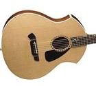 Parker PA22 Intrigue Acoustic Natural w/ Parker Hardshell Case FREE SHIPPING www.tmscad.ecrater.com