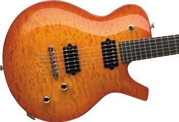 Parker PM20 Flame Maple Tabacco Sunburst w/ Parker Gig Bag FREE SHIPPING www.tmscad.ecrater.com