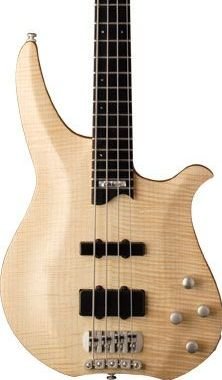Washburn CB14MK Classic Bass w/ GB6 Case Maple Top FREE SHIPPING www.tmscad.ecrater.com