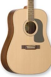 Washburn D10SDL Natural w/Case FREE SHIP Solid Spruce Top www.tmscad.ecrater.com