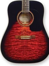 Washburn D10QSB Quilted Maple Sunburst Acoustic w/Case FREE SHIP www.tmscad.ecrater.com