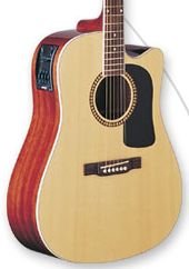 Washburn D10SCE Natural Acoustic/Electric w/Case FREE SHIP WT82 Pre/Tuner www.tmscad.ecrater.com