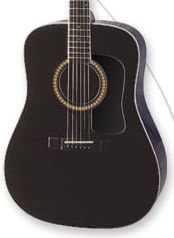 Washburn D10SB Black Acoustic w/Case FREE SHIP Mahogany Sides/Back www.tmscad.ecrater.com